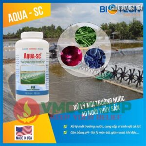Aqua SC