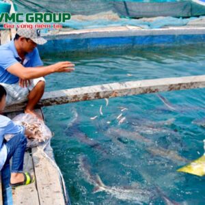 phong-benh-cho-ca-bien-nuoi-long