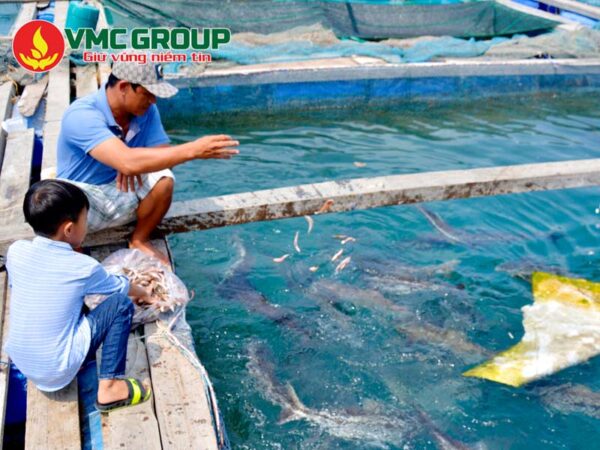 phong-benh-cho-ca-bien-nuoi-long
