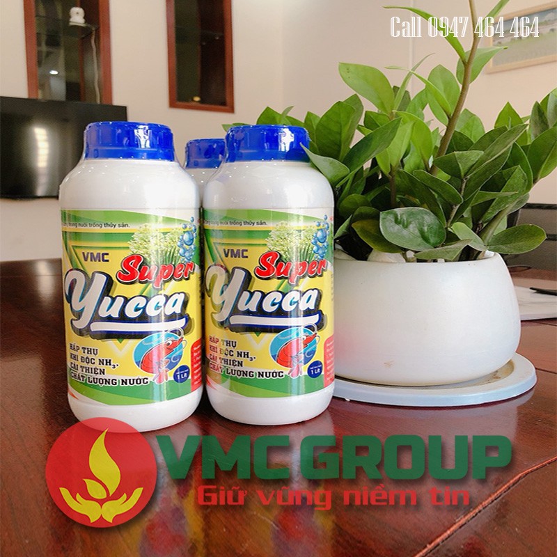 THUỐC THỦY SẢN YUCCA - XỬ LÝ NƯỚC NUÔI TRỒNG THỦY SẢN