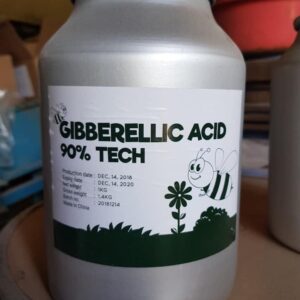 ACID GIBBERELLIC GA3 CHẤT ĐIỀU HÒA SINH TRƯỞNG