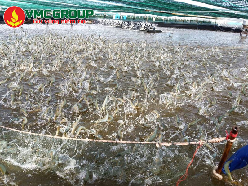 Những ứng dụng quan trọng của EDTA 2Na